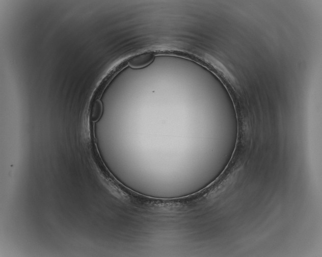 X0000112180934200908211457