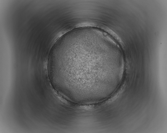 X0000112180937200908211457