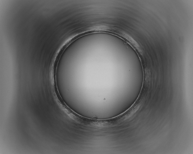 X0000112180939200908211457