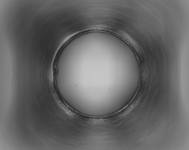 X0000112180940200908211457