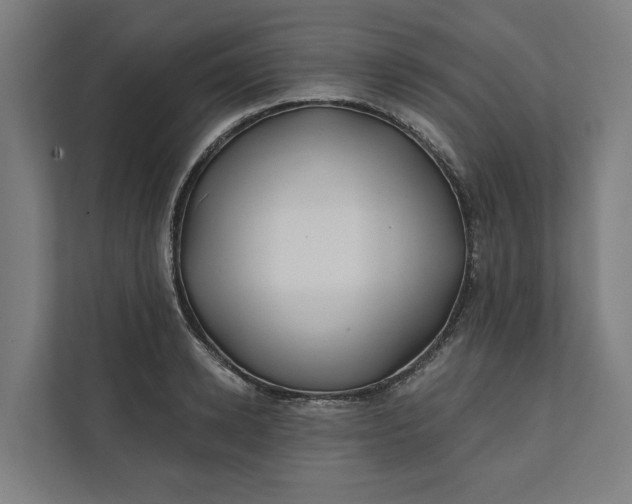 X0000112180942200908211457