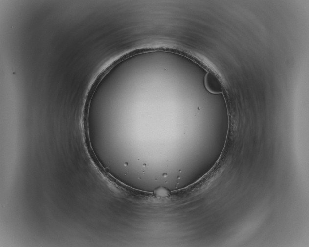 X0000112180943200908211457