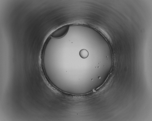 X0000112180944200908211457