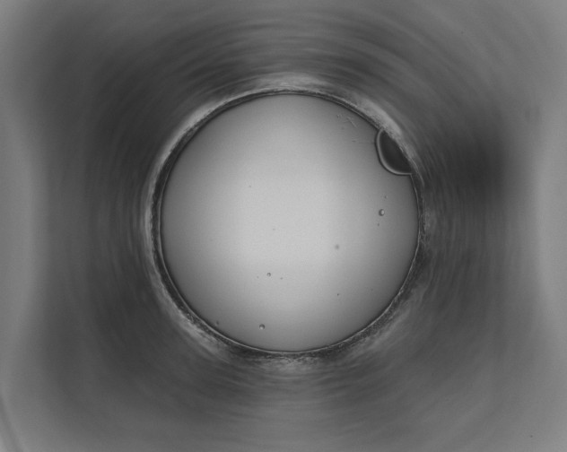 X0000112180947200908211457