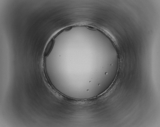 X0000112180948200908211457