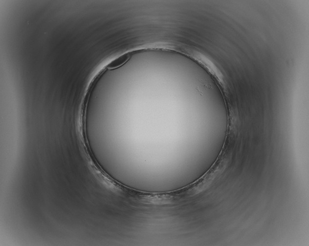 X0000112180952200908211457