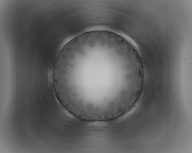 X0000112180953200908211457