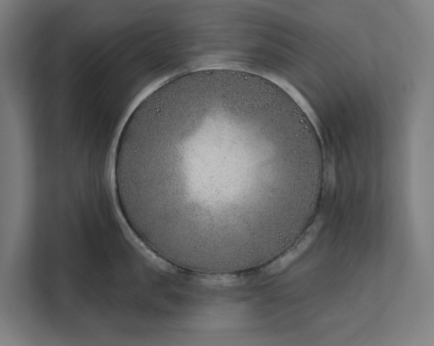 X0000112180957200908211457