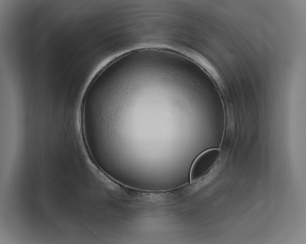 X0000112180958200908211457