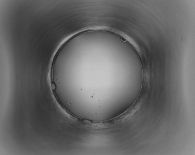 X0000112180959200908211457