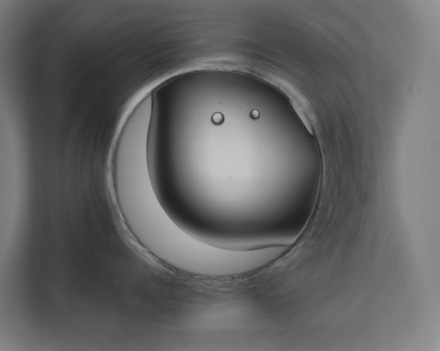 X0000112180960200908211457