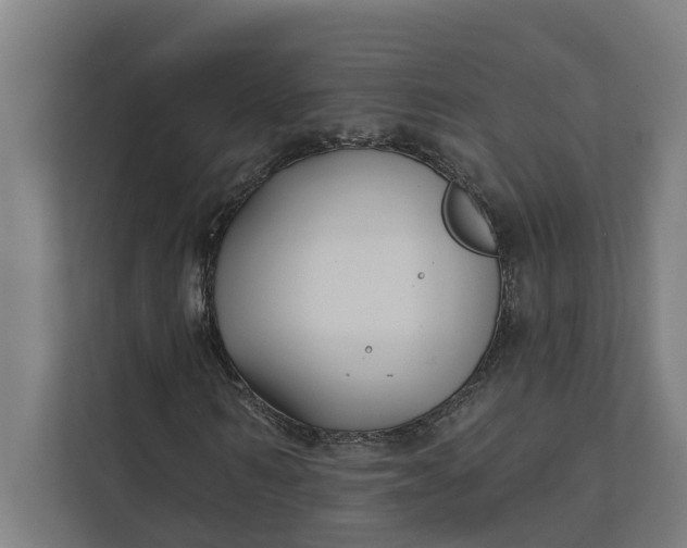 X0000112180962200908211457