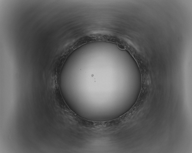 X0000112180965200908211457