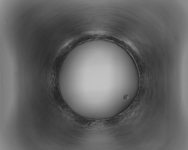 X0000112180967200908211457