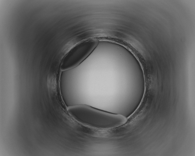 X0000112180969200908211456