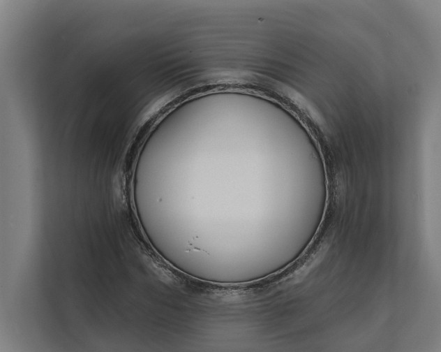 X0000112180970200908211456