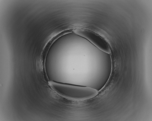 X0000112180973200908211456