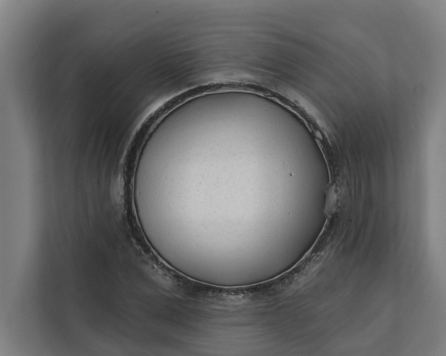 X0000112180975200908211456