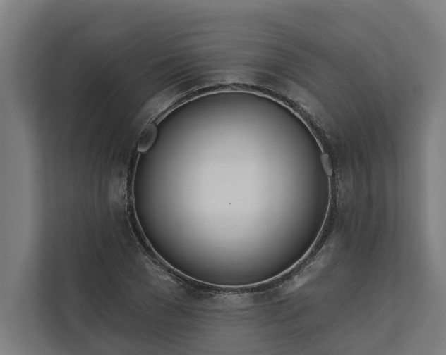 X0000112180977200908211456