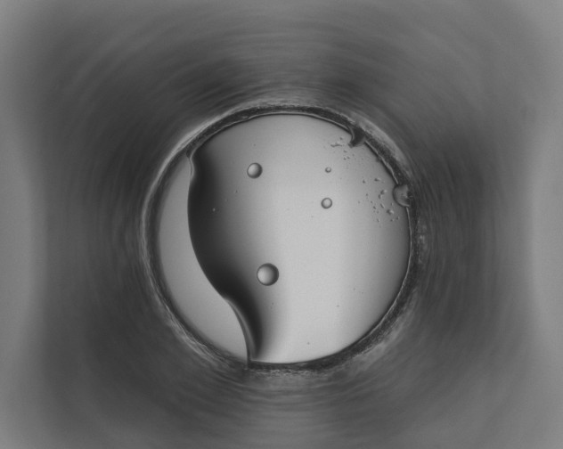 X0000112180981200908211456