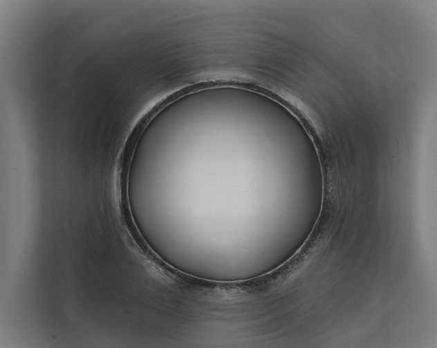 X0000112180983200908211456