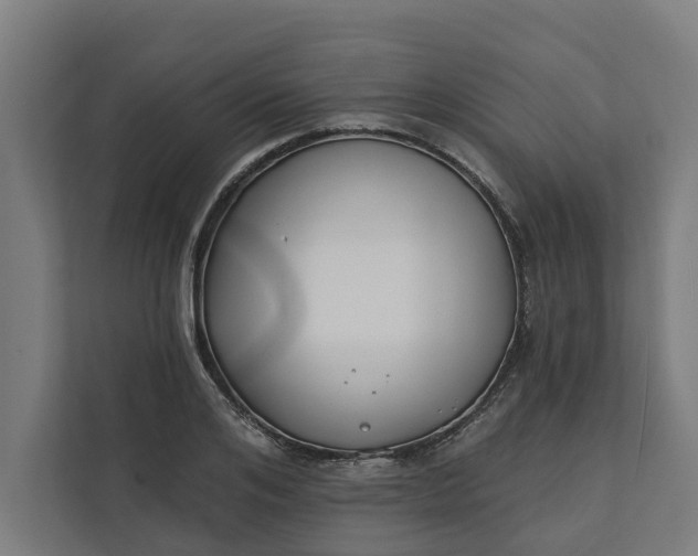 X0000112180984200908211456