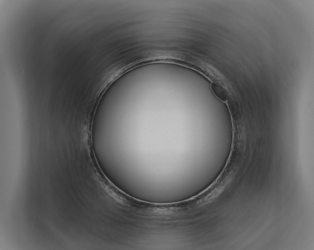 X0000112180985200908211456