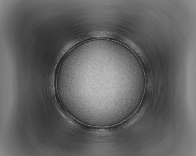 X0000112180986200908211456