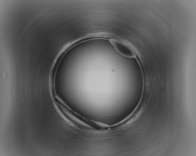 X0000112180989200908211456