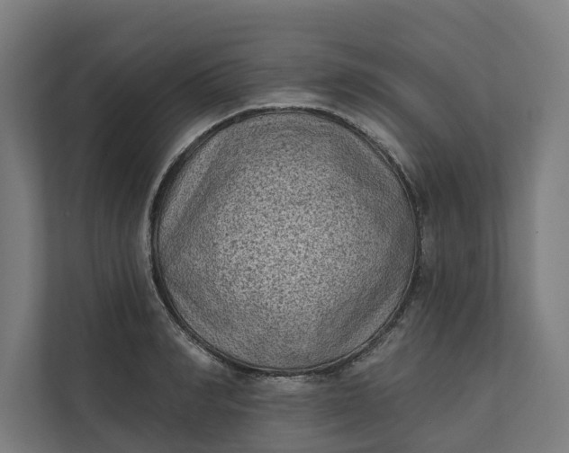 X0000112180990200908211456