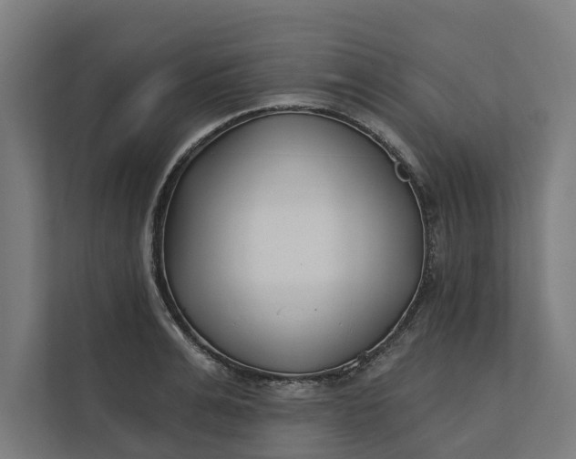 X0000112180991200908211456