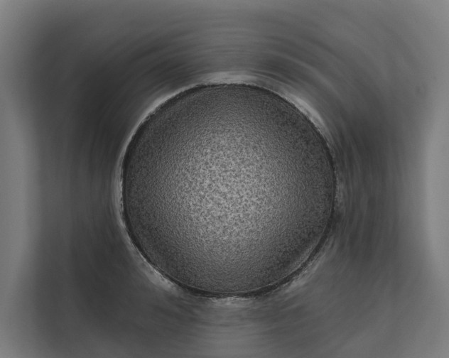 X0000112180992200908211456