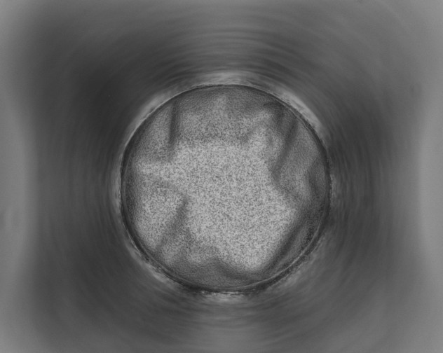 X0000112180994200908211456