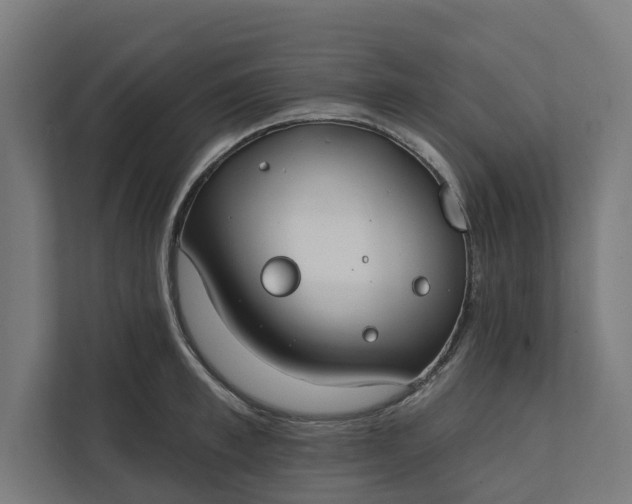 X0000112180997200908211456