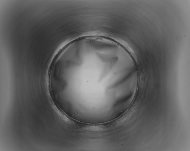 X0000112180998200908211456