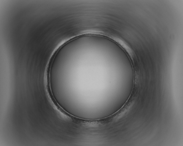 X0000112180999200908211456