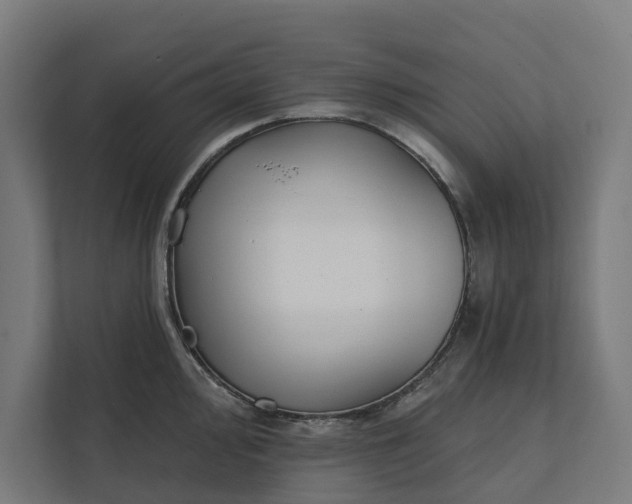 X0000112181000200908211456