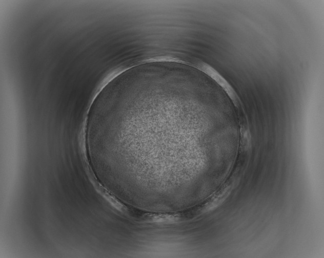 X0000112181002200908211456