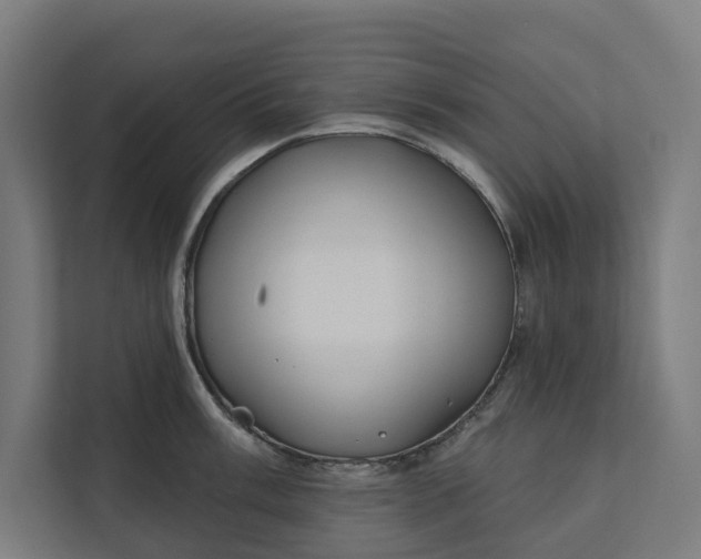 X0000112181003200908211456