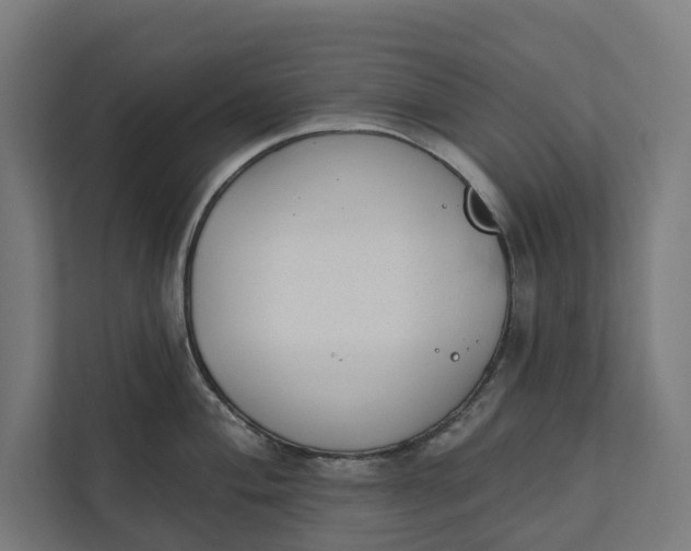 X0000112181004200908211456