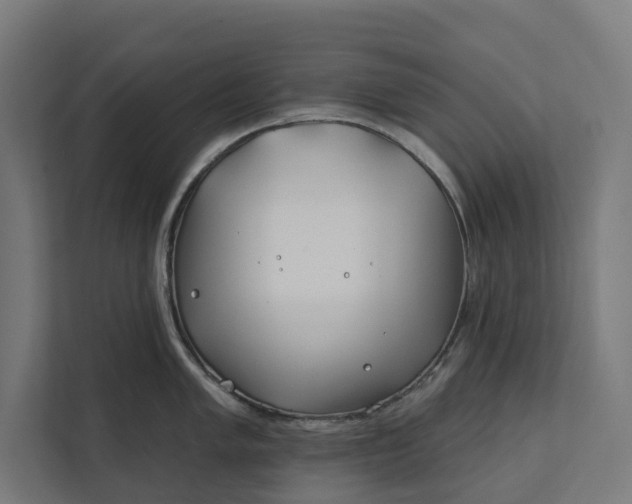 X0000112181005200908211456