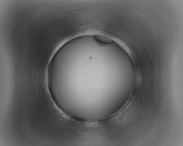 X0000112181006200908211456