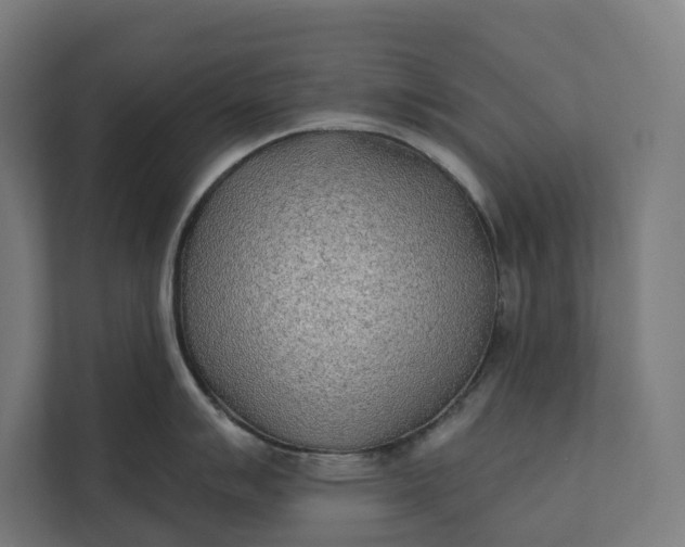 X0000112181007200908211456