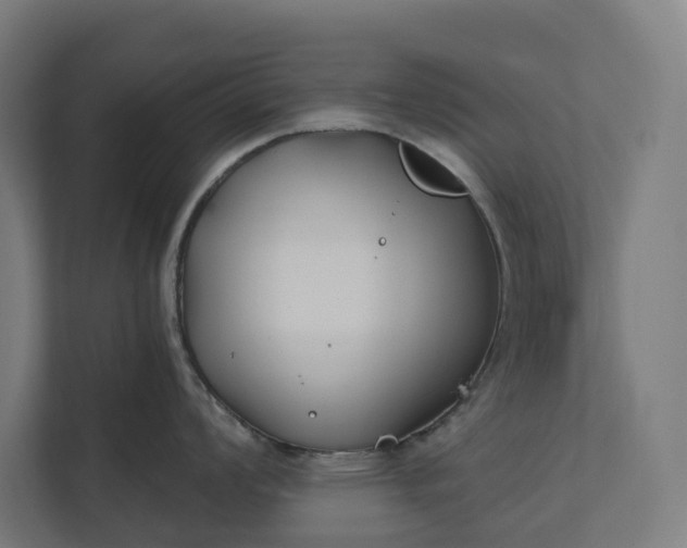 X0000112181008200908211456