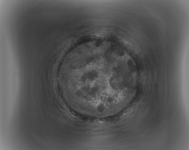 X0000112181009200908211455