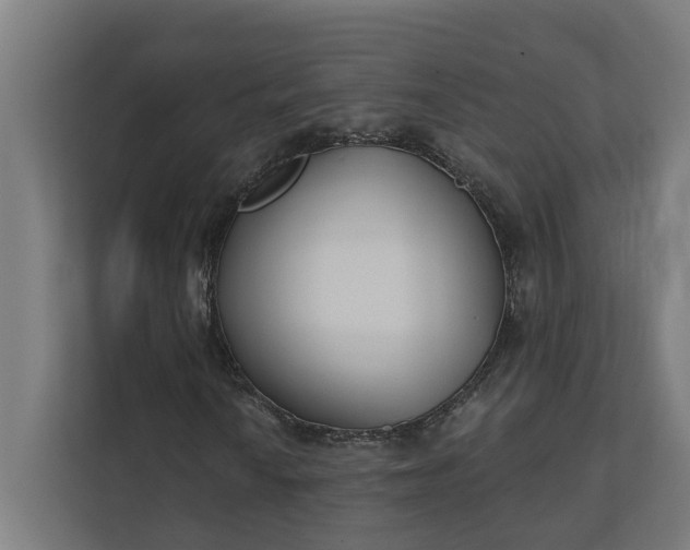 X0000112181010200908211455