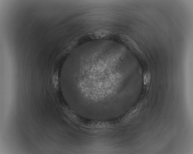 X0000112181011200908211455