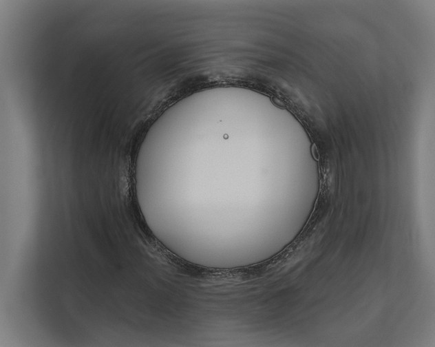 X0000112181012200908211455