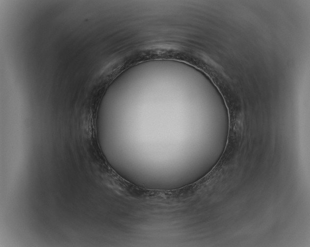 X0000112181014200908211455