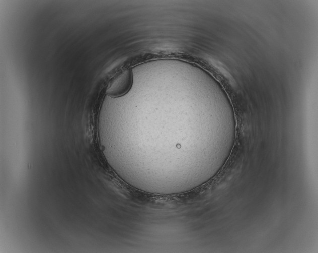 X0000112181015200908211455